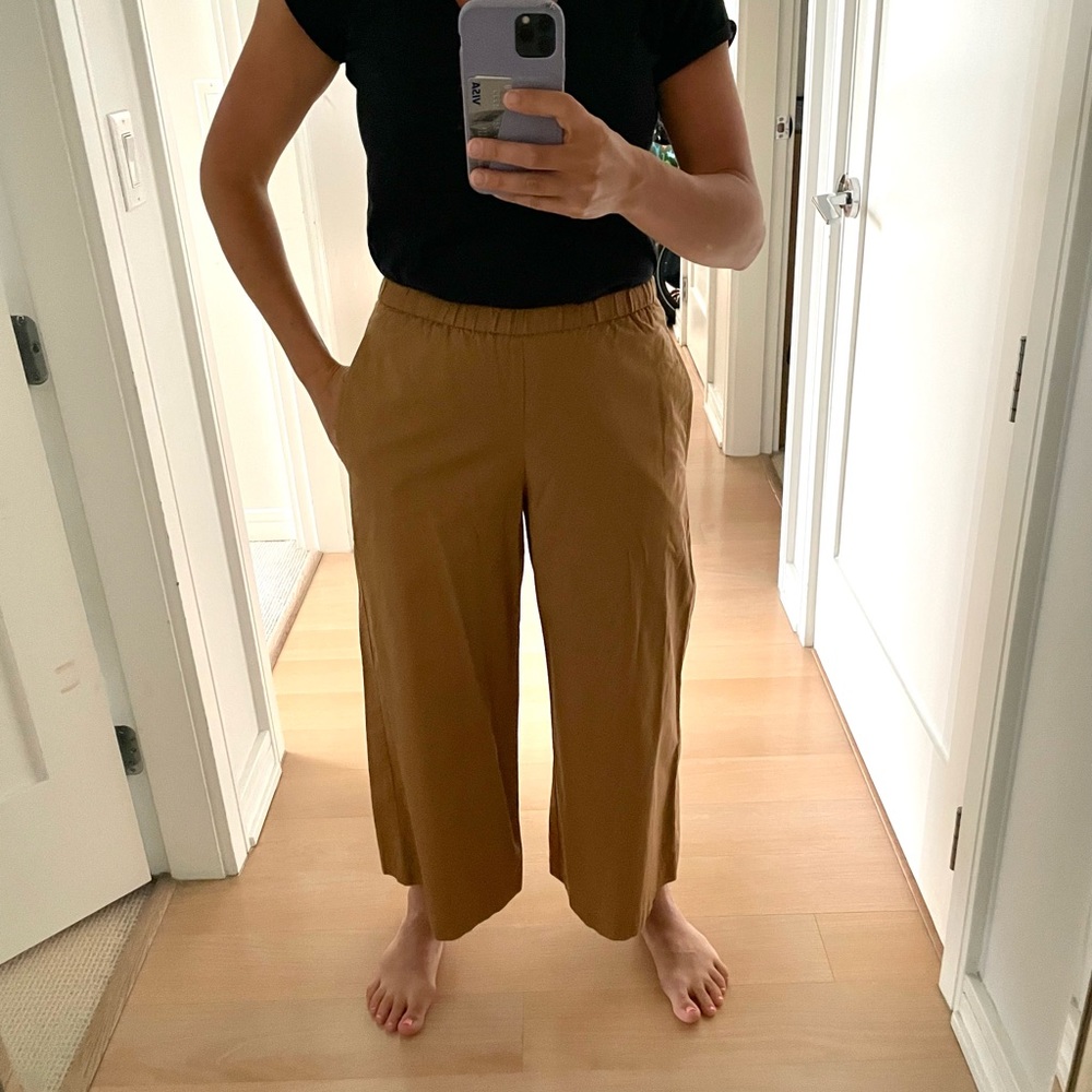 XXS Eileen Fisher Organic Cotton Pants